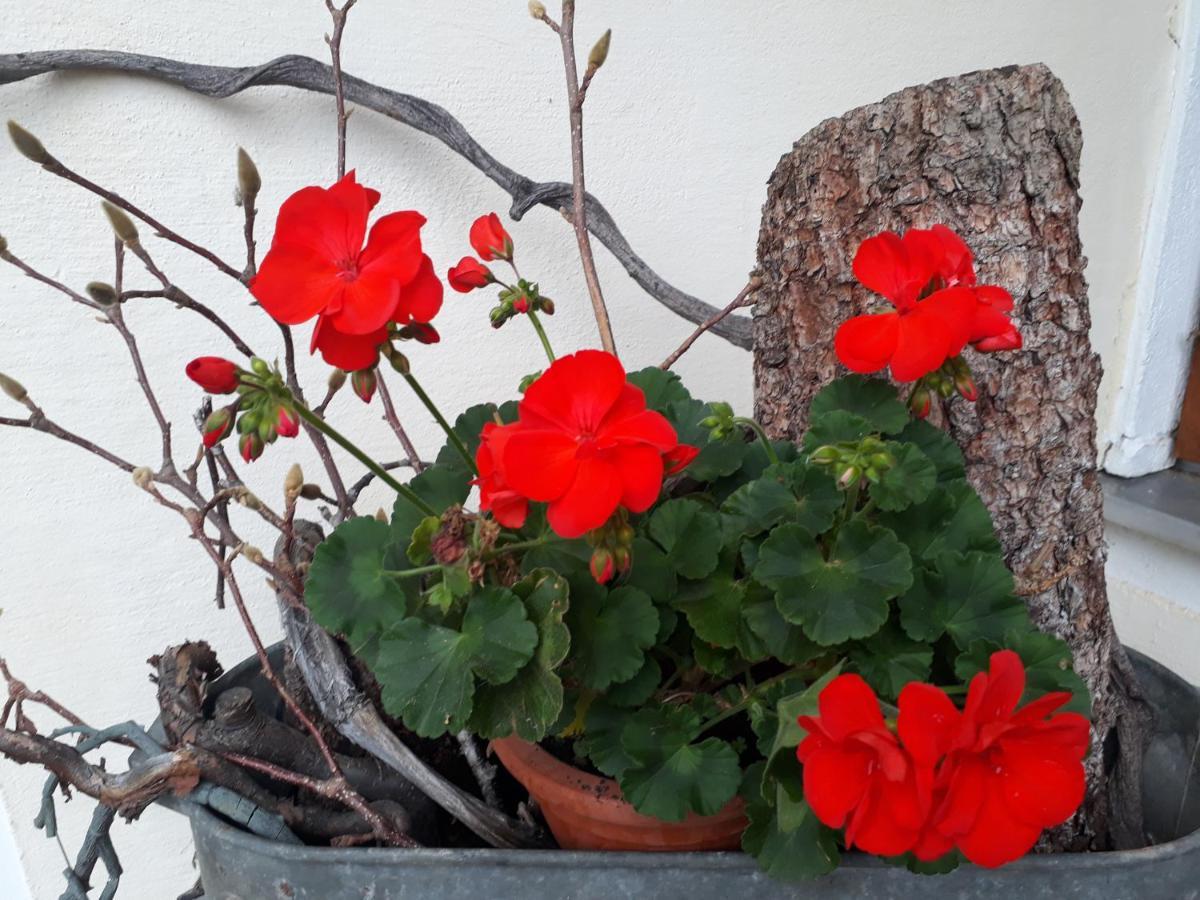 Landgasthof Zum Kirchenwirt Kellberg  外观 照片