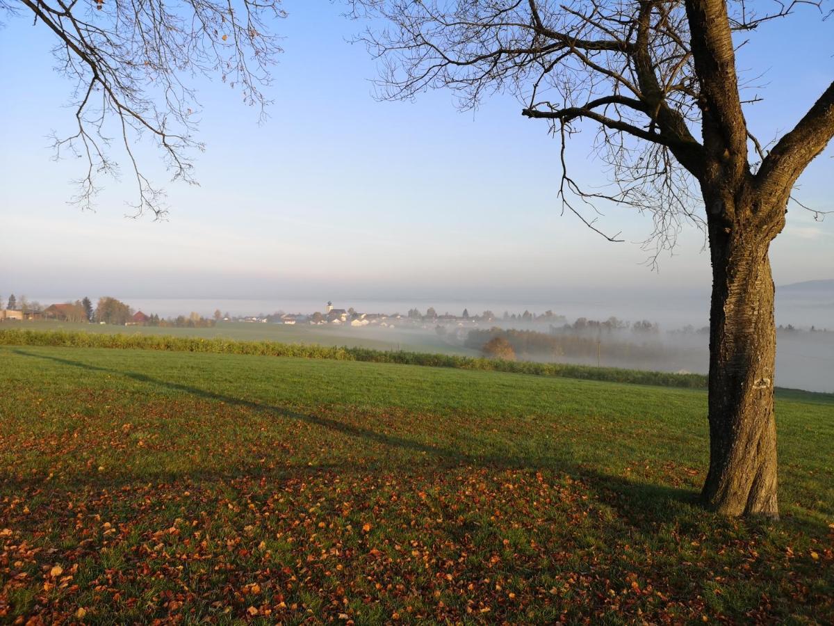Landgasthof Zum Kirchenwirt Kellberg  外观 照片